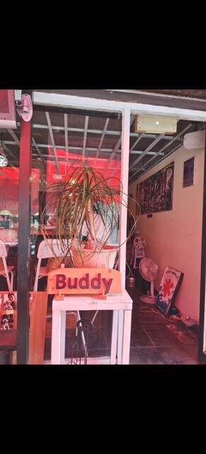 【Buddy　八王子まで配達無料】定価10万円　アクメ　ダイニング Buddy 八王子まで配達無料】定価10万円 アクメ ダイニング Buddy