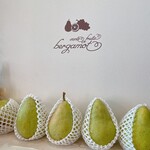 ベルガモット - 