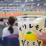 KYOCERA DOME OSAKA - 