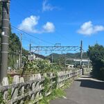なかむら - 