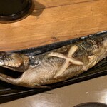 産直さばと青魚 伏見あおい - 大トロ鯖の塩焼き定食（1,000円）2023.8
