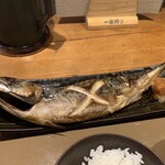 産直さばと青魚 伏見あおい - 大トロ鯖の塩焼き定食（1,000円）2023.8