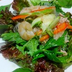 GREEN PAPAYA - 