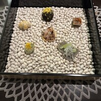 ケンゾーエステイトワイナリー 銀座店 - 