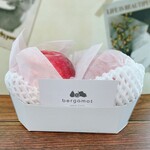 ベルガモット - 