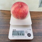 ベルガモット - 