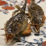 日本料理 研野 - 