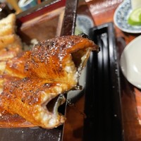 にょろ助 銀座 - 