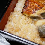 Haibara - お米はつや姫　タレの浸透もあってサラサラとした食べ心地。