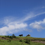 王ヶ頭ホテル - 