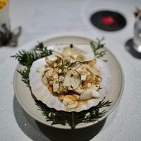 レフェルヴェソンス - 