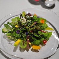 レフェルヴェソンス - 