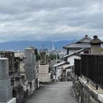 とり専門店 鳥さく - 