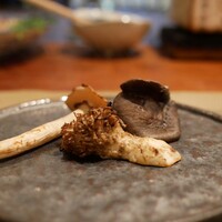 飛騨季節料理 肴 - 