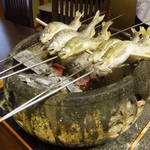 しのはら - この日は和歌山の養殖鮎