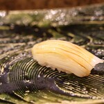 にぎり鮨 一五〇 - アオリイカ