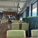 evergreen cafe restaurant EBISU - 
