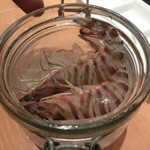 浪花ろばた 頂鯛 - こんな感じで入ってるよ