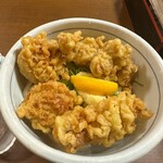 讃松庵 - でっかい鶏天がゴロゴロ