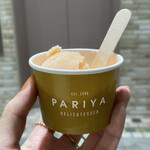 PARIYA - 