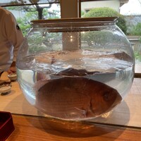 日本料理 別府 廣門 - ドーンと天然泳ぎ鯛