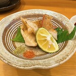 Matsuzushi - 