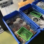 斎藤商店 - 