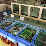 斎藤商店 - 