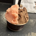 Curry Spice Gelateria KALPASI - 