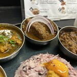 Curry Spice Gelateria KALPASI - 