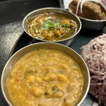 Curry Spice Gelateria KALPASI - 