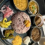 Curry Spice Gelateria KALPASI - 