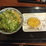 Marugame Seimen - 