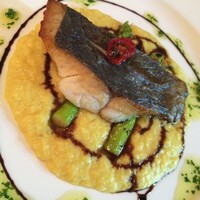 マエストロのおすすめセレクション