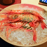 銀座 しのはら - ボタン海老