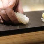 Sushi & Bar Fujiro - 白イカ