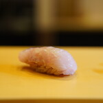 Sushi Koma - 