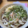 手打ちうどんますや