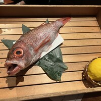 のどぐろ専門 銀座中俣 はなれ - 