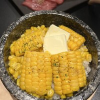老舗精肉店直送 千種焼肉 飛騨牛の奴隷 千種店 - 