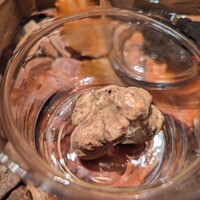 Terres de Truffes, Tokyo - 