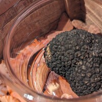 Terres de Truffes, Tokyo - 