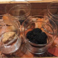 Terres de Truffes, Tokyo - 