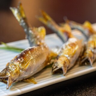 鮎料理の店 鮎の里_0