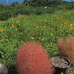 一夜城 ヨロイヅカ・ファーム - 