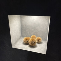 草片 - 