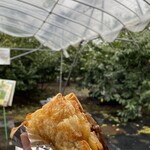 ニトリ観光果樹園 - 料理写真: