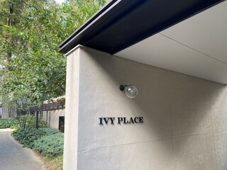 IVY PLACE - 