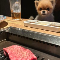 焼肉一七三 向山 - 