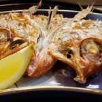 末広寿司 - ◆ノドグロの兜焼き